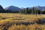 Kings Peak, Utah Summit from Henry's Fork Basin meadow by Roger J. Wendell - 09-23-2011