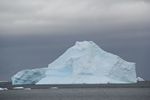 Antarctica Adventure by Roger J. Wendell - January and Feburary 2011