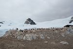 Antarctica Adventure by Roger J. Wendell - January and Feburary 2011