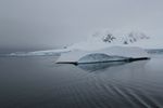 Antarctica Adventure by Roger J. Wendell - January and Feburary 2011