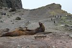 Antarctica Adventure by Roger J. Wendell - January and Feburary 2011