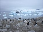 Antarctica Adventure by Roger J. Wendell - January and Feburary 2011