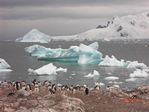 Antarctica Adventure by Roger J. Wendell - January and Feburary 2011