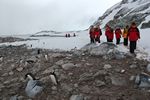 Antarctica Adventure by Roger J. Wendell - January and Feburary 2011