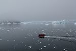 Antarctica Adventure by Roger J. Wendell - January and Feburary 2011