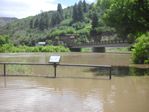 Colorado River Overflow at the Bair Ranch Rest Area by Roger J. Wendell on 06-08-2010