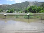 Colorado River Overflow at the Bair Ranch Rest Area by Roger J. Wendell on 06-08-2010