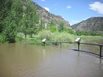 Colorado River Overflow at the Bair Ranch Rest Area by Roger J. Wendell on 06-08-2010