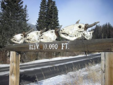 Neighborhood Elevation Sign at 10,000 feet near St Mary's Colorado by Roger J. Wendell - 12-12-2009