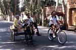 Roger J. Wendell cycling in the Turfan Depression along the Silk Road, China - June 2001