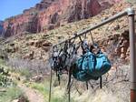 Hanging Packs at Hermit Creek Camp, Grand Canyon - April, 2006