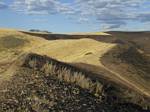 Green Mountain burn area - August 2008