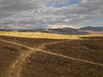 Green Mountain burn area - August 2008