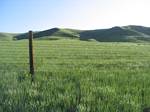 Looking at Green Mountain through its south fence - May 27, 2007