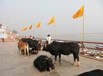 Ganges River at Varanasi, India, by Roger J. Wendell - December 4th & 5th, 2008