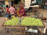 Daily business photos throughout India by Roger J. Wendell - November/December 2008