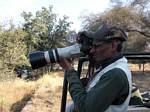 Ranthoambhore National Park, Rajasthan, India by Roger J. Wendell - November 28, 2008