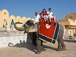 Elephant stable near the Amber Fort, Jaipur, India by Roger J. Wendell - November 26, 2008