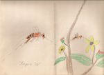 Bees by Roger J. Wendell - circa 1964