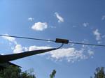 Looking up the ladder line - July 15, 2006