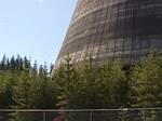 Trees at Base of Cooling Tower