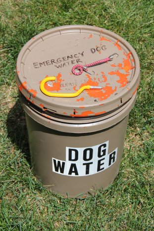 Illegal Emergency Dog Water in Red Rocks Park - 05-09-2017