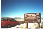 Utah Prairie Dog Sign