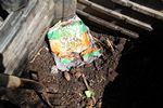 Sun Chip bag compost experiment follow-up - 07-21-2013