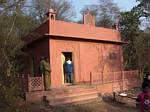 Ranthambhore National Park, India He toilet - 11-28-2008