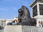 Lion at Trafalgar Square, London - October 2006