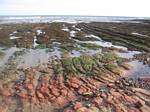 Seacoast at Dunbar, Scotland - October, 2006