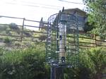 Our New backyard bird feeder - July 29, 2006