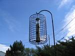 Our New backyard bird feeder - July 29, 2006