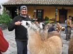 Roger Wendell and the Llamas at San Agustin de Callo - near Quitio, Ecuador - January, 2006