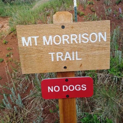 No Dogs on Mount Morrison - 05-30-2025