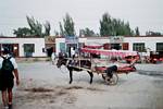 Xinjiang Donkey Cart by Roger J. Wendell - June 2001