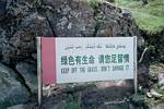 Xinjiang Donkey Keep Off The Grass by Roger J. Wendell - June 2001