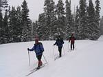 Skiing in Line at McCullough Gulch - 03-11-2006