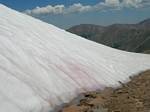 Watermlon Snow on Hassell Peak, Colorado - July 16, 2006