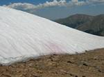 Watermlon Snow on Hassell Peak, Colorado - July 16, 2006