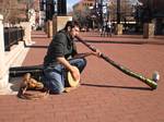 Dan and His Didgeridoo at the Pearl Street Mall in Boulder, Colorado - 02-13-2008